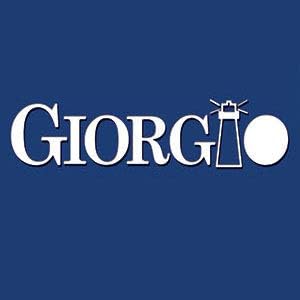 Giorgio GIO1-2BLK Black Set of 2 Gentle Touch Detangler Hair Brush for Men Women and Kids. Soft Bristles for Sensitive Scalp. Wet and Dry for all Hair Types. Scalp Massager Brush Stimulate Hair Growth - Image 6