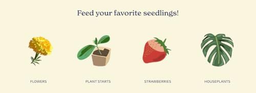 True Organic Liquid Preplant Starter – Organic Fertilizer for Seedlings and Young Starts – 32 fl. oz. Bottle Covers 40 Sq. Ft. - Image 2