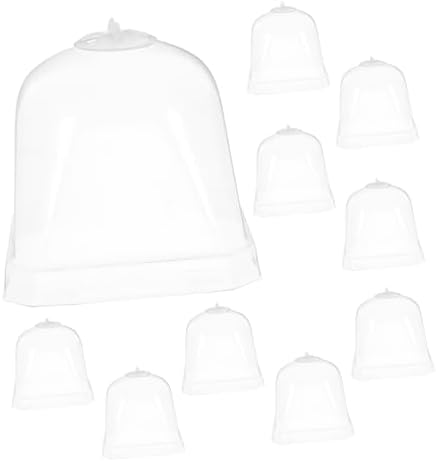 Toddmomy 10Pcs Transparent Greenhouse Dome Plant Cloche Covers by Toddmomy