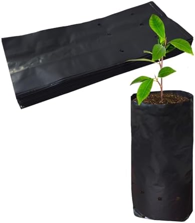 Belit Nursery Growing Bags, 100 Pcs Black Plastic Seedling Pots for Gardening Seed Plant Bags, Fruit Tree Seedling, Starting saplings(5.7"x9.5") by Belit
