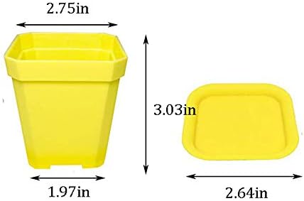 24 Pack 3inch Multi Color Square Plastic Plant Pots,Seedling Nursery Transplanting Planter Container Indoor Outdoor for Your Room,Garden Office and Balcony Decor - Image 2