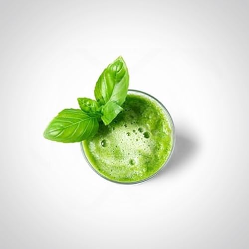 Longevity Spinach Plant (8 Plants) - Image 7