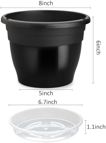 10 Pack 8 Inch Black Nursery Pots with Drainage Holes and Saucers - Image 2