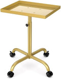Salon Rolling Tray Hair Stylist Tray Cart, Tattoo Tray Dental Tray Adjustable Height, Metal Service Tray Trolley, Medical Storage Tray Cart Rolling Trolley (Champagne Gold) by FLOLXNB