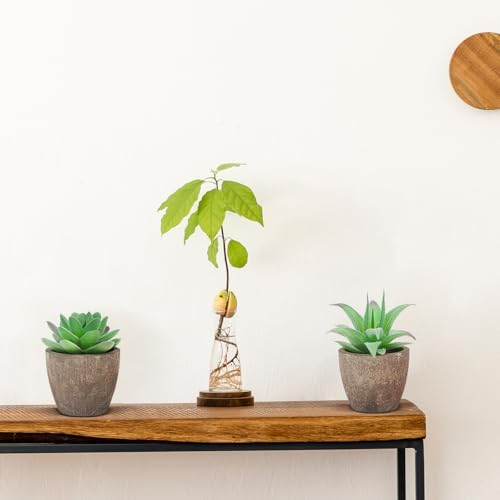 Woration 6 Style Green Artificial Small Succulents Fake Plants Potted - Image 7
