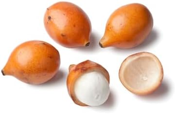Achachairu/Garcinia Humilis/Achacha Live Fruit Tree (Arbol frutal vivo) 2-3ft - Image 3