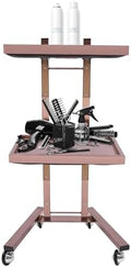 2 Tier Metal Rolling Cart, Folding Salon Tray Trolley, Mobile Storage Tray Cart with Wheels, Rolling Tray Salon Trolley Beauty Hair LashMayo Stand (Black) by Bazargame