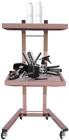 2 Tier Metal Rolling Cart, Folding Salon Tray Trolley, Mobile Storage Tray Cart with Wheels, Rolling Tray Salon Trolley Beauty Hair LashMayo Stand (Black) by Bazargame