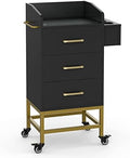 Paddie Beauty Salon Storage Trolley Cart, Glass Top Hair Salon Station Cabinet with Dryer Holder, Lockable Rolling Wheel, Drawer - Black by Paddie