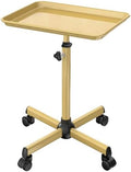 Salon Tray Cart Metal Tattoo Tray Height Adjustable Spa Service Trolley by LWADALN