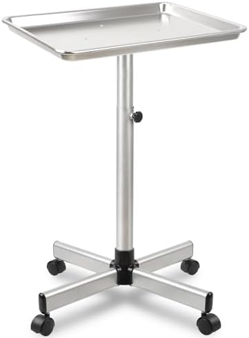 Salon Señor Salon Tray Cart,TattooTray on Wheels,Hair Color Tray,Silver by SalonSe%C3%B1or