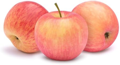 American Plant Exchange Fuji Apple Tree, 1 Gallon Pot, 2-3 ft Tall, Live Outdoor Fruiting Plant, Sweet & Tart Fruit - Image 3