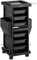 OmySalon Rolling Salon Trolley Cart with Wheels 6 Drawers, Beauty SPA Storage Organizer for Stylist, Hair Tool Holder Mobile Station, Barber Shop Hairdressing Tattoo Equipment by OmySalon