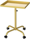 Salon Tray Cart Tattoo Tray Rolling Cart, Service Rolling Tray, Height Adjustable Styling Tray, Storage Tray Trolley for Beauty Salon Clinic Spa (Champagne Gold) by JOSTZHXIN