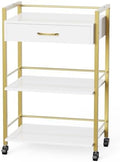 OmySalon Salon Trolley Cart with Wheels, Esthetician Cart with 1 Drawer & 2 Trays, Mobile Storage Organizer for Beauty Spa Massage Tattoo Esthetic Facial Tool Holder Station, White Gold by OmySalon