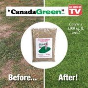 Canada Green Grass Lawn Seed - Grows Healthy Rich Green Grass Lawn Seed Plants Yard Garden 12 Pound Bag - Image 3