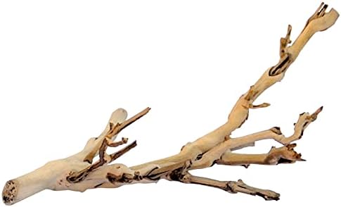 Exo Terra Forest Branch Small - Natural Wood Terrarium Decoration - Image 3