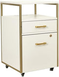 Techni Mobili Salon Storage Cabinet with Lock, 2 Drawer Organizer with USB Ports and Power Outlet, for Hair & Nail Supplies, Ideal for Professional Salons & Spas, White & Gold by TechniMobili