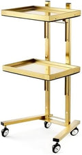 2-Tier Metal Rolling Cart – 34-Inch Folding Stainless Steel Salon Tray on Wheels, Utility Storage Trolley for Estheticians, Salon Studios and Shops, Dental Tools, Gold by WEMAKMAK
