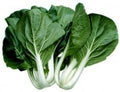 Cabbage PAK Choi White Stem Great Heirloom Vegetable by Seed Kingdom 400 Seeds by Seed+Kingdom