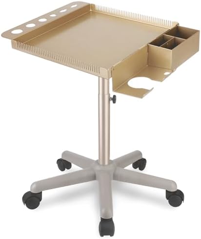 Retain Time Champagne Gold Hair Salon Cart with Wheels, Large Heavy Duty Multi-Function Salon Station Tray, Adjustable Corrosion Resistant Stylist Color Tray for Hair Styling by BeautyPersonalCare