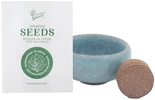 Buzzy Seeds Bonsai Tree Grow Kit 4-Pack, Ceramic Pots, Pine and Spruce - Image 4