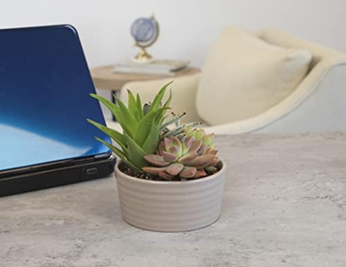 Succulents Plants Live in Garden Succulent Planters, Live Succulent Plants Live Plants in Taupe Planter Pot, Live Succulents Unique Gardening Gifts for Plant Lovers, Succulent Gifts by Plants for Pets - Image 3