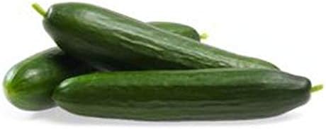 Diva F1 Cucumber Seeds - Vigorous, Disease-Resistant Plants, Burpless Too(100 - Seeds) - Image 5