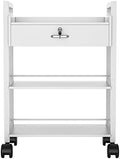 Paddie Salon Beauty Cabinet Cart Trolley 2-Layer Rolling Storage Drawer Organizer Wheels Lockable Tool Salon Station Barber Stylist Equipment Makeup Spa Cart (White-3 Layer) by Paddie