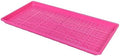 SUNPACK 10" x 20" Heavy Duty Mesh Plastic Seed Starting Tray, Magenta, 1" - Ensures Water Drainage and Aeration, Perfect for Greenhouses or Indoor Gardening by SUNPACK