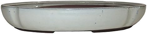 Brussel's 12" Lotus Bonsai Glazed Ceramic Pot (X-Large, New Cream) by BrusselsBonsai