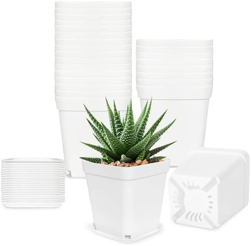 Anyumocz 24Pcs 3" Square Plastic Plant Pots,White Nursery Pots with Saucers,Seedling Nursery Transplanting Planter Container for Plants,Garden,Flower,Home,Office,Balcony Decor,Indoor,Outdoor by Anyumocz