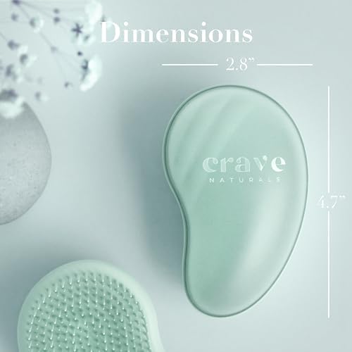 Crave Naturals Mini Detangler Hair Brush Turquoise – Glide Thru Hair Detangler Brush for Women, Kids & Toddlers – Gentle Scalp Care, No-Pain Tangle-Free Hairbrush for All Hair Types, Travel Hair Brush - Image 3