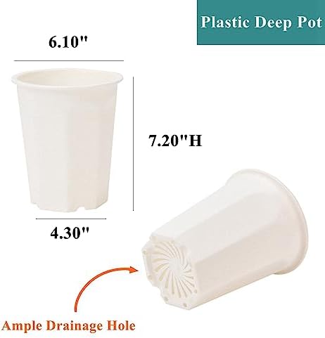 8 Pack 6.10 Inch White Plastic Deep Nursery Pot and Seedling Planter for Succulent, Cutting, Transplanting - Image 2