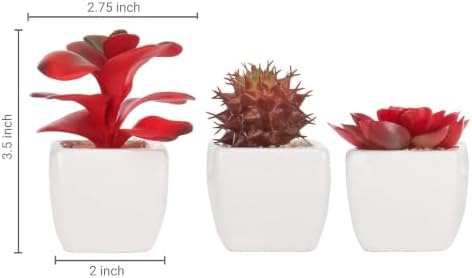MyGift Assorted Artificial Red Succulent Plants, Mini Fake Desert Plants in White Square Pots, Set of 3 - Image 6