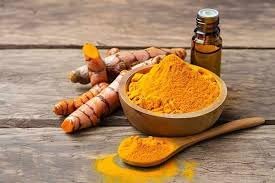 Turmeric Plants (4 Pack) (Curcuma Longa) Live Plants for Planting, Grow Fresh Golden Root at Home, Medicinal Edible Herb, Easy to Cultivate in Pots or Garden Beds by FamPlants