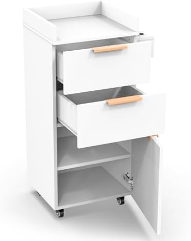 OmySalon Salon Trolley with Wheels, 2 Drawers & 1 Storage Cabinet, Salon Cart for Hair Stylist, Portable Styling Station for Barbershop Beauty Spa, White by OmySalon