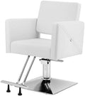 Artist hand Barber Salon Chair for Hair Stylist with Back Cover, White by Artisthand