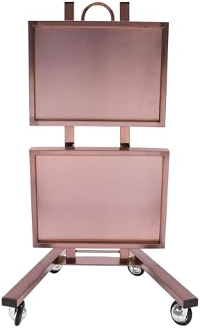 2 Tier Metal Rolling Cart, Stainless Steel Salon Tray with Wheels, Foldable Utility Carts Quiet Lockable Wheels, Folding Rolling Salon Tray Trolley for Tattoo,Hair Stylist - Image 4