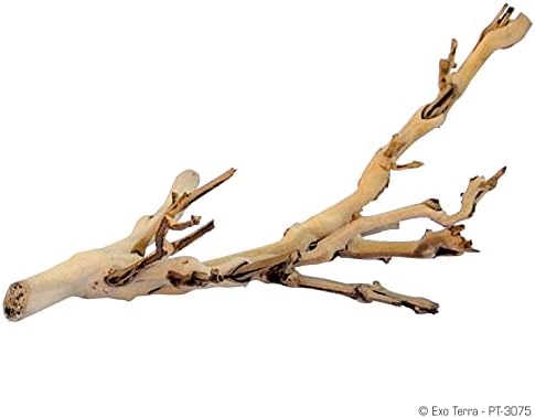 Exo Terra Forest Branch Small - Natural Wood Terrarium Decoration - Image 2
