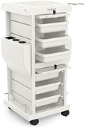 TASALON Lockable 6-Tray Salon Rolling Cart with 2 Holders, White by TASALON