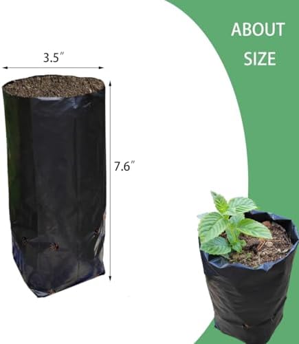 Belit 100 Pcs Plant Nursery Bags, Plastic Seedling Pots Container for Fruit Tree, Flower, Starting saplings, Plant Grow(3.5"x7.6") - Image 5