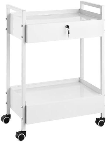 VEVOR Rolling Medical Cart with Lockable Drawer, White Paint Stainless Steel Utility Cart, 2 Tiers Mobile Esthetician Trolley Cart with Swivel Casters for Lab, Hospital, Dental, Salon and Beauty by VEVOR