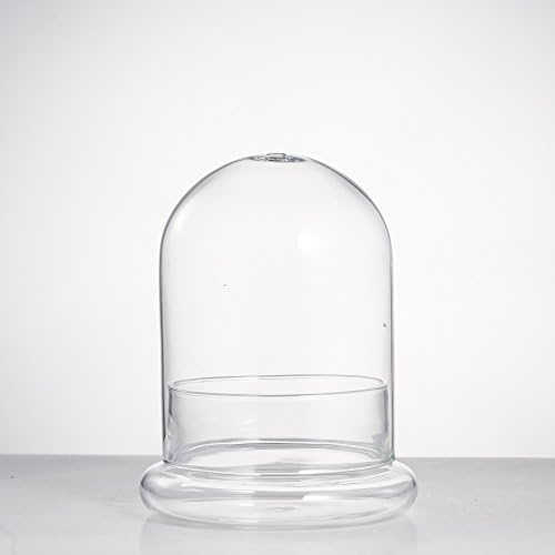NCYP Small Glass Terrarium Cloche with Air Hole, 4.7 x 4.7 x 6.3 Inches - Image 6