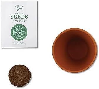 BUZZY Seeds Sunflower Grow Kit 6-Pack, Mini Terracotta Pots, Indoor Garden - Image 4