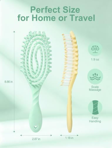 HIPPIH 2 Pack Hair Brush - Wet Dry Detangler Brush, Hair Brushes for Women - Image 2