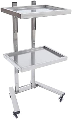 2 Tier Metal Rolling Cart, Folding Salon Tray Trolley, Mobile Storage Tray Cart with Wheels, Rolling Tray Salon Trolley Beauty Hair LashMayo Stand (Silver) by Bazargame
