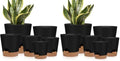YNNICO Indoor Self Watering Planters with Drainage Holes and Saucers, 8, 7, 6.5, 6, 5.5, 5 Inches, Black, 6 Pots (Pack of 2) by AFamilyofGardenLovers