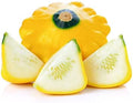 Sunburst Yellow Patty Pan Pattypan Summer Squash Premium Seeds for Planting Packet by Sherwoods+Seeds