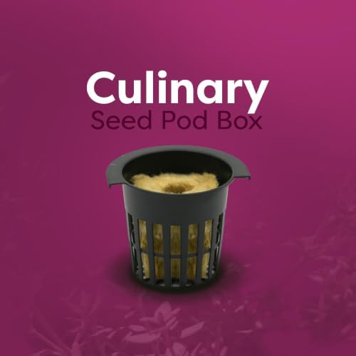 Culinary Seed Pod Box - 8 Pre-Seeded Non-GMO Herb Seed Pods, Basil, Chives and Thyme - Image 2